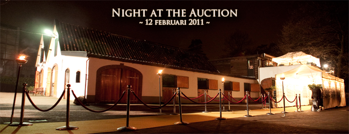 Night at the Auction